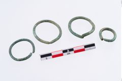 Foto von Bronzering (NHMW-PRAE-003411)